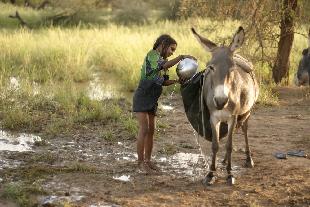 Photo 1 from Amman Imman:  Water is Life
